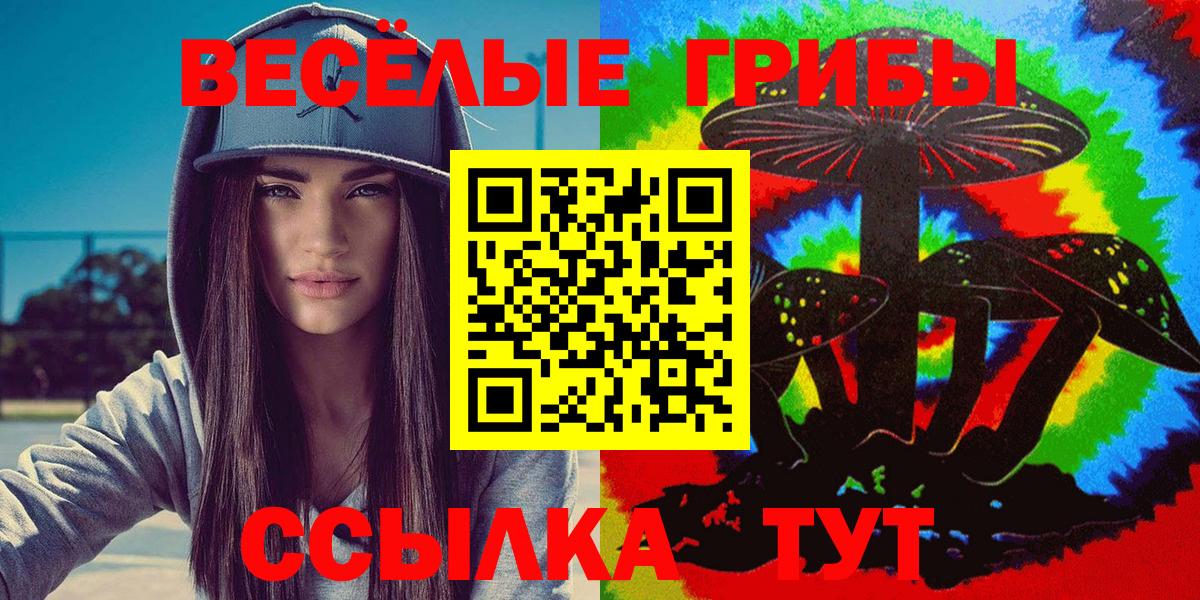 Псилоцибиновые грибы мухоморы  Галлюциногенные грибы Psilocybe  Кандалакша  Вход с VPN 