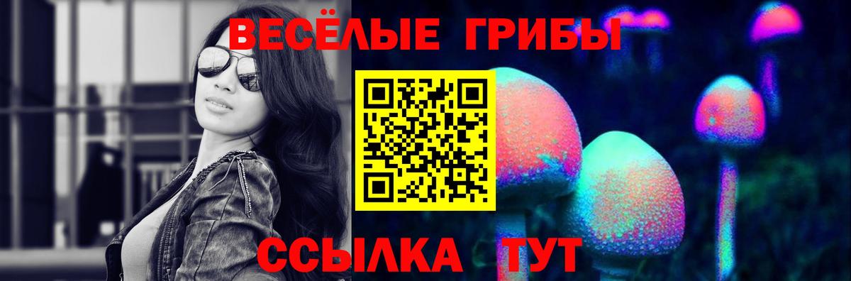 Галлюциногенные грибы Cubensis Кандалакша